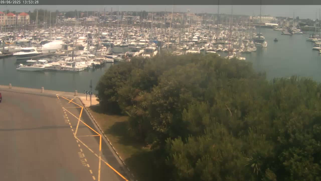 A large marina filled with numerous boats is visible from a high vantage point on a hazy day, with green trees and a paved area in the foreground.