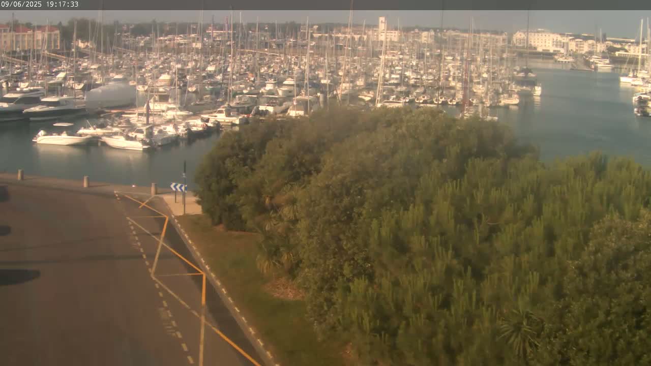 A marina filled with numerous boats is viewed from above, under a hazy, sunny sky, with a stretch of roadway and green vegetation in the foreground.