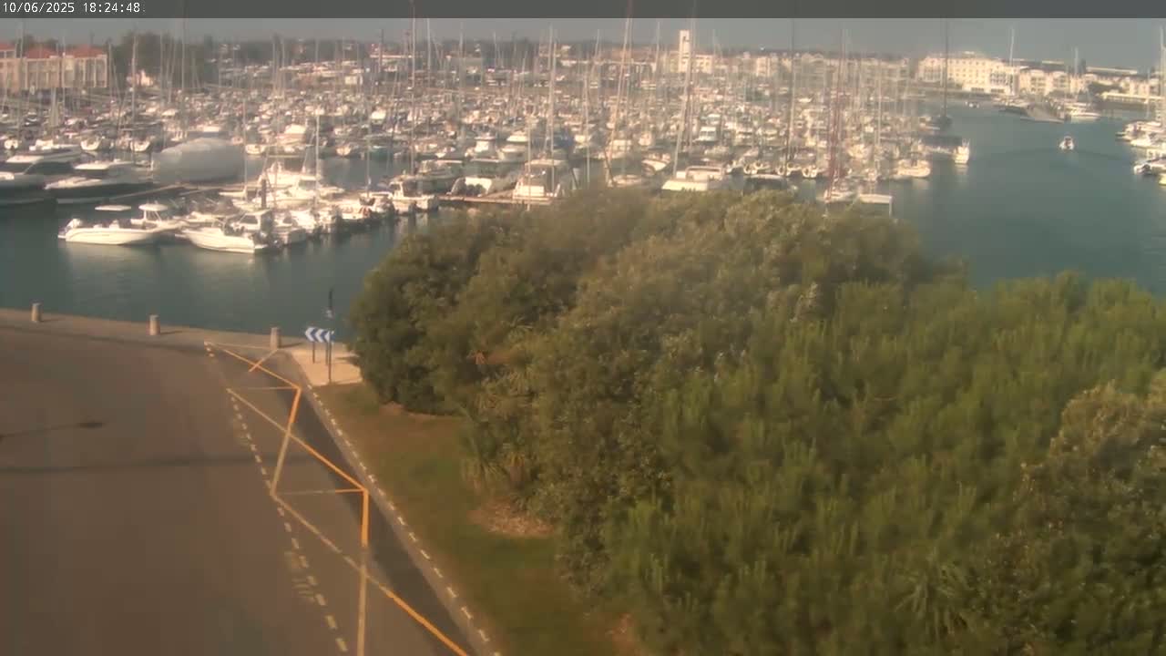 A marina filled with numerous boats and yachts is partially visible beyond a dense patch of green trees and shrubs on a hazy day.