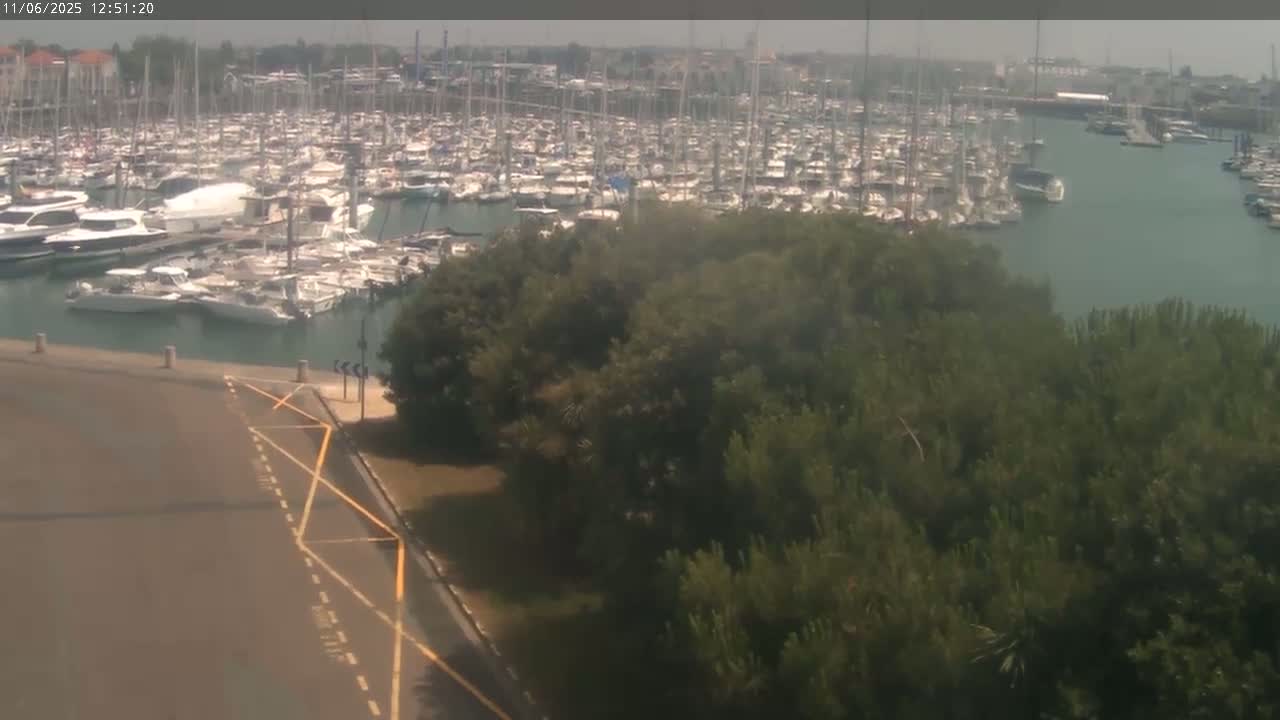 A marina filled with numerous boats is seen from above on a hazy day, with a patch of green trees in the foreground.