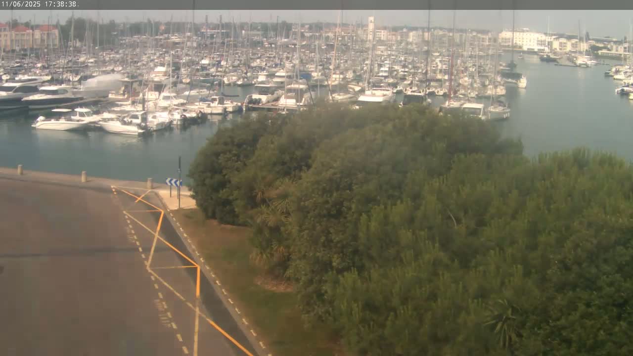 A marina filled with numerous boats is viewed from above on a hazy day, with a patch of green vegetation in the foreground.