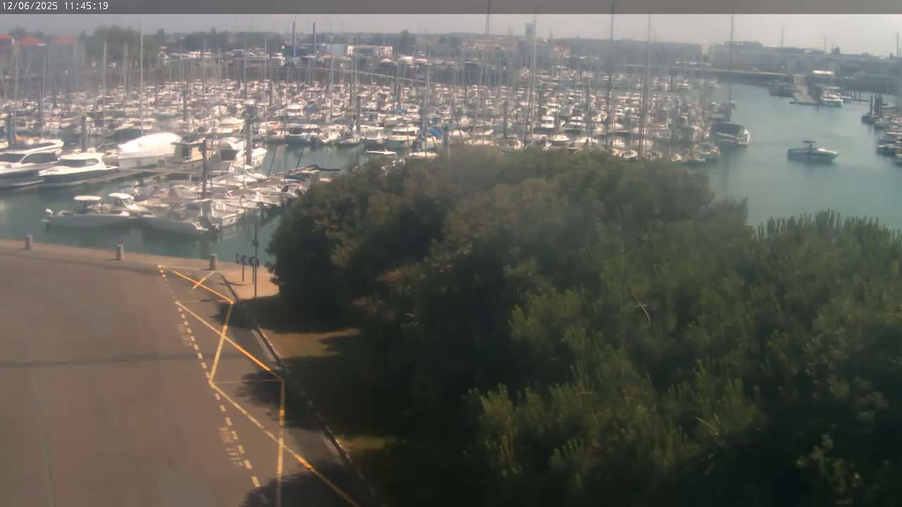 A large marina filled with numerous boats is seen from an elevated vantage point on a hazy, sunny day, with a patch of dark green trees in the foreground.