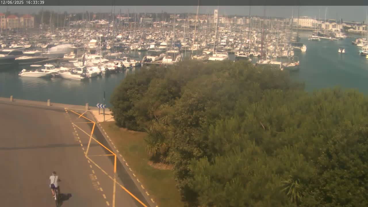 A person cycles along a road next to a dense thicket of trees overlooking a harbor filled with numerous boats on a sunny day.