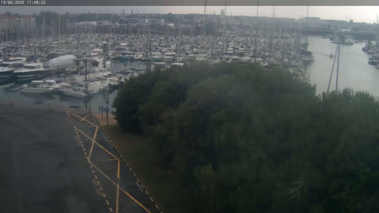 A marina filled with numerous boats is visible from a slightly elevated vantage point on an overcast day, with dark green trees in the foreground.
