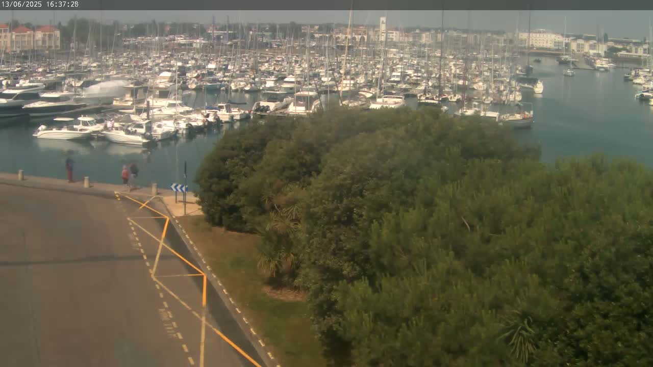 A crowded marina filled with numerous boats and yachts is seen from an elevated vantage point on a hazy day, with a strip of land covered in dark green vegetation in the foreground.