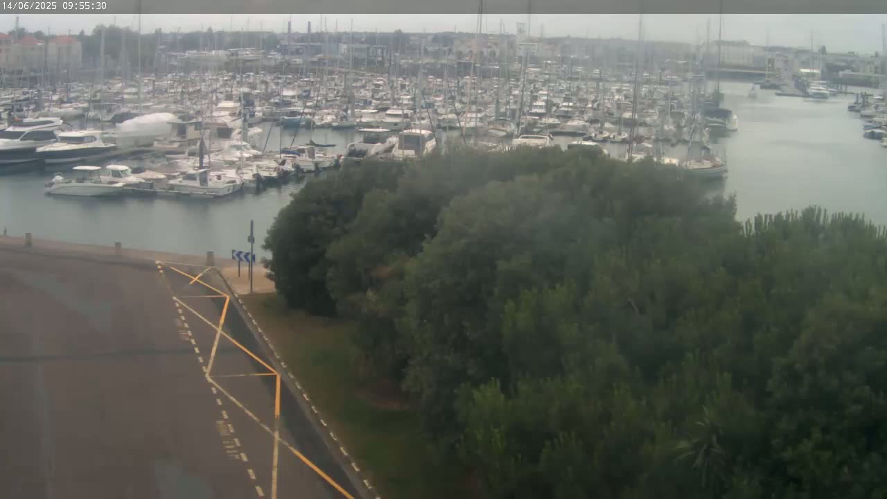 A large marina filled with numerous boats is visible on an overcast day, with a patch of green trees separating it from a paved area.