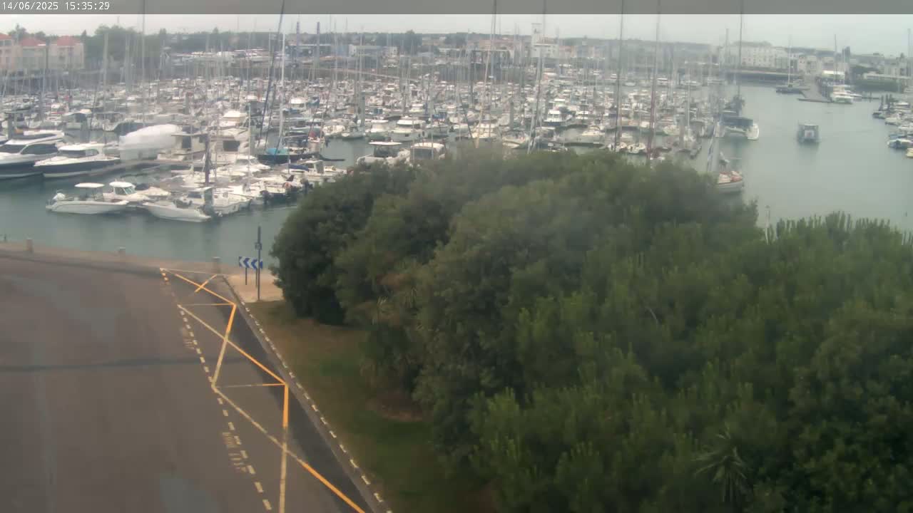 A large marina filled with numerous boats is seen from above on an overcast day, with a patch of green trees and a paved road in the foreground.