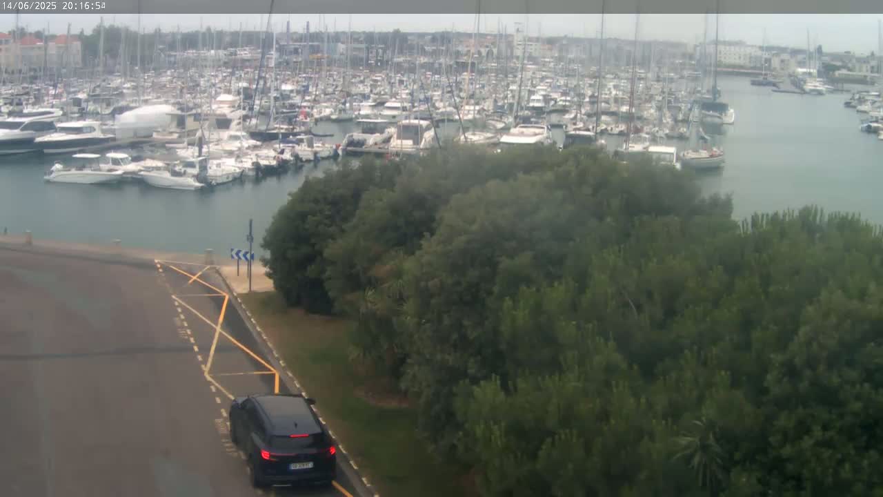 A large marina filled with numerous boats is seen from above on an overcast day, with a patch of green trees and a paved road in the foreground.