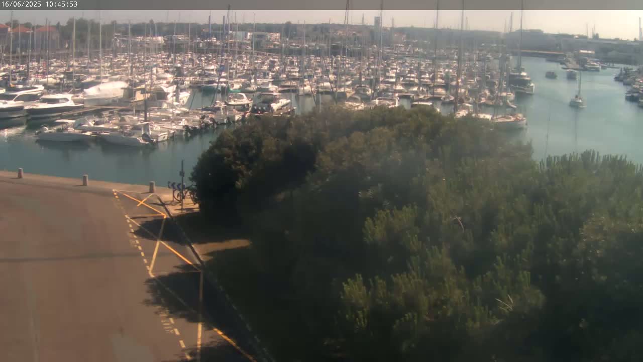 A marina filled with numerous boats is seen from a high vantage point on a sunny day, with a patch of green vegetation in the foreground and a paved area leading to it.