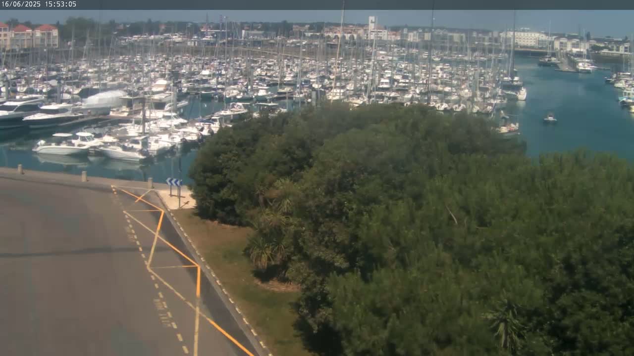A marina filled with numerous boats is seen from above on a sunny day, with green trees and a paved road in the foreground.