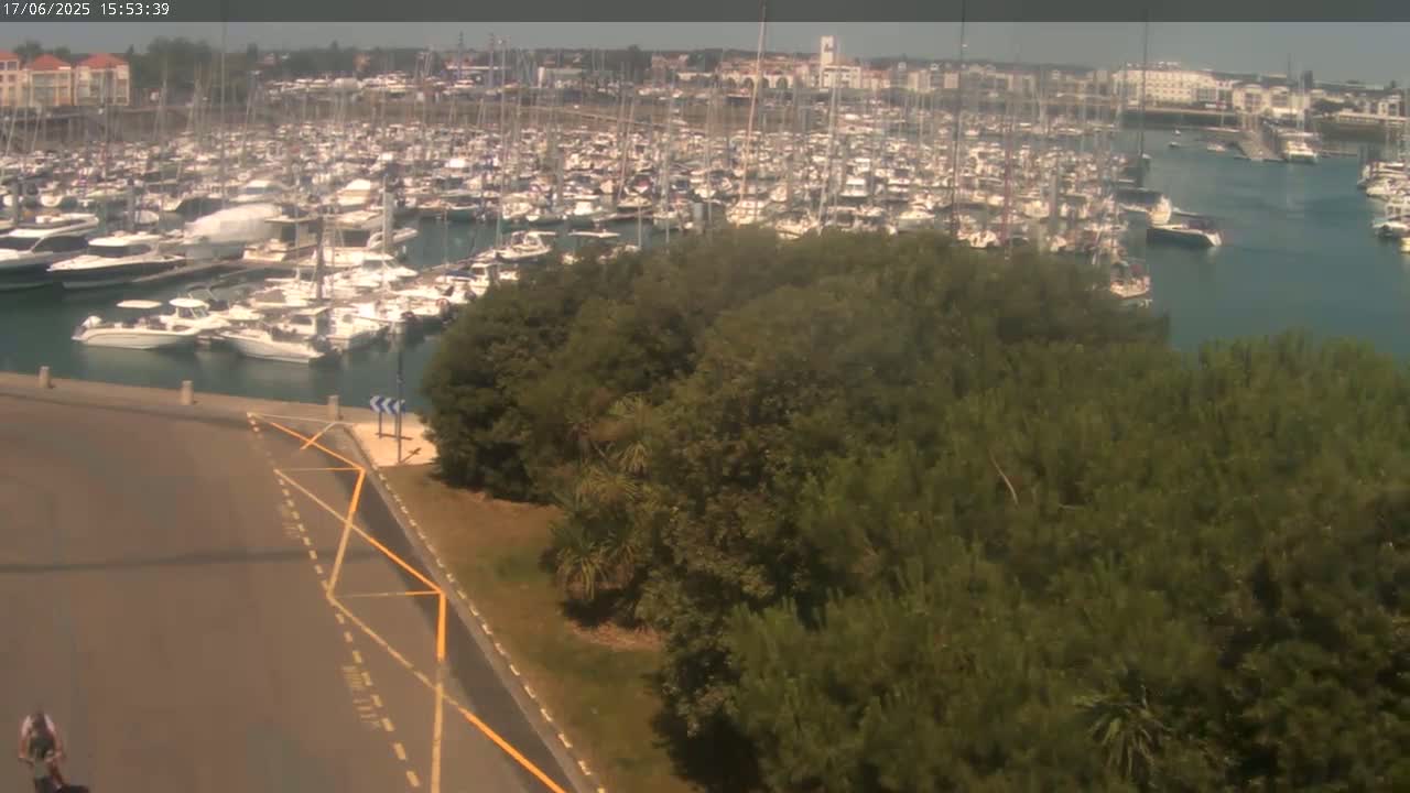 A large marina filled with numerous boats is visible from an elevated vantage point on a sunny day, with a lush green area separating the marina from a paved road.