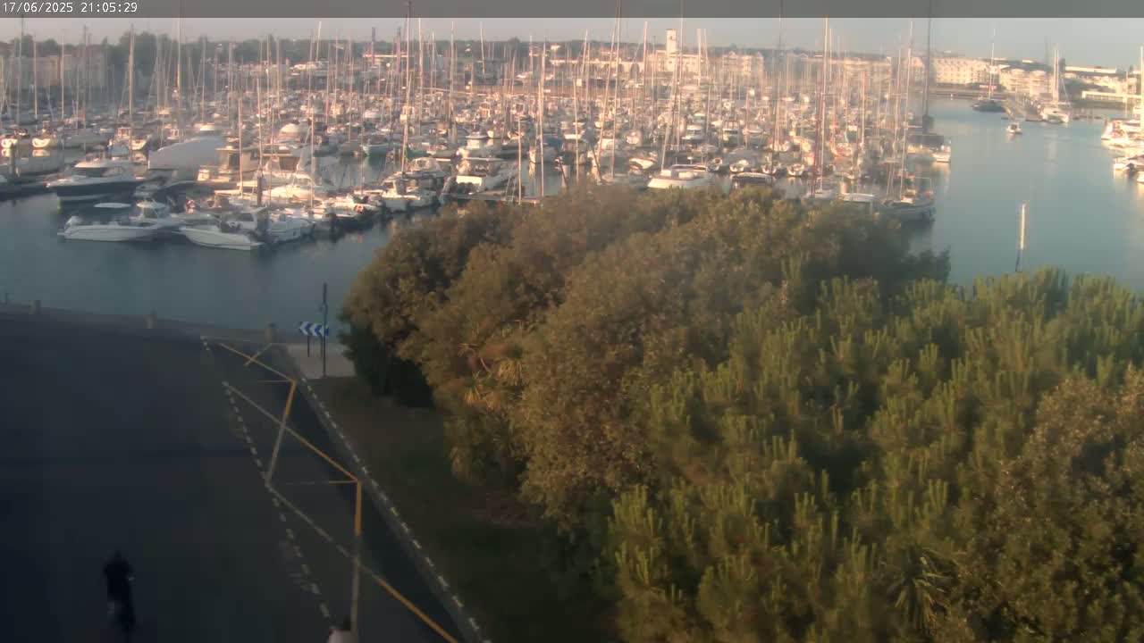 A calm harbor filled with many boats is viewed from above a tree-covered area and a paved path next to it, under a hazy sky.