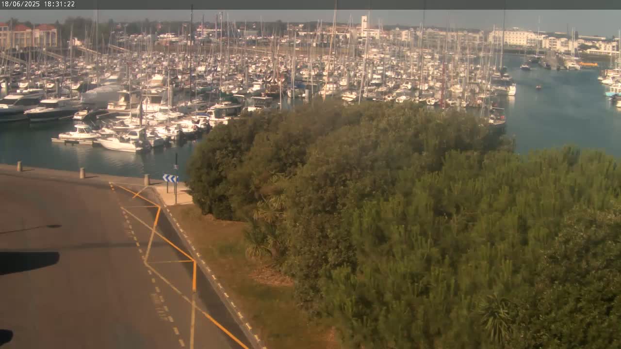 A large marina filled with many boats is viewed from above on a sunny day, with a patch of green trees in the foreground.