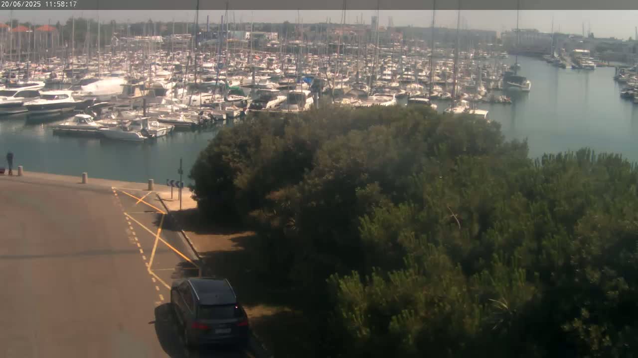 A marina filled with numerous boats is visible from a high vantage point on a hazy day, with a dark-colored SUV parked near a road that leads down to the water's edge, partially obscured by a dense thicket of green trees and shrubs.