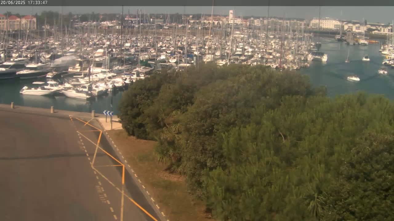 A large marina filled with numerous sailboats and motorboats is viewed from above on a sunny day, with a stand of green trees in the foreground.