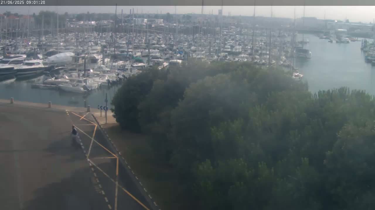 A hazy day reveals a marina filled with numerous boats, viewed from a vantage point overlooking a paved area and a stand of trees.