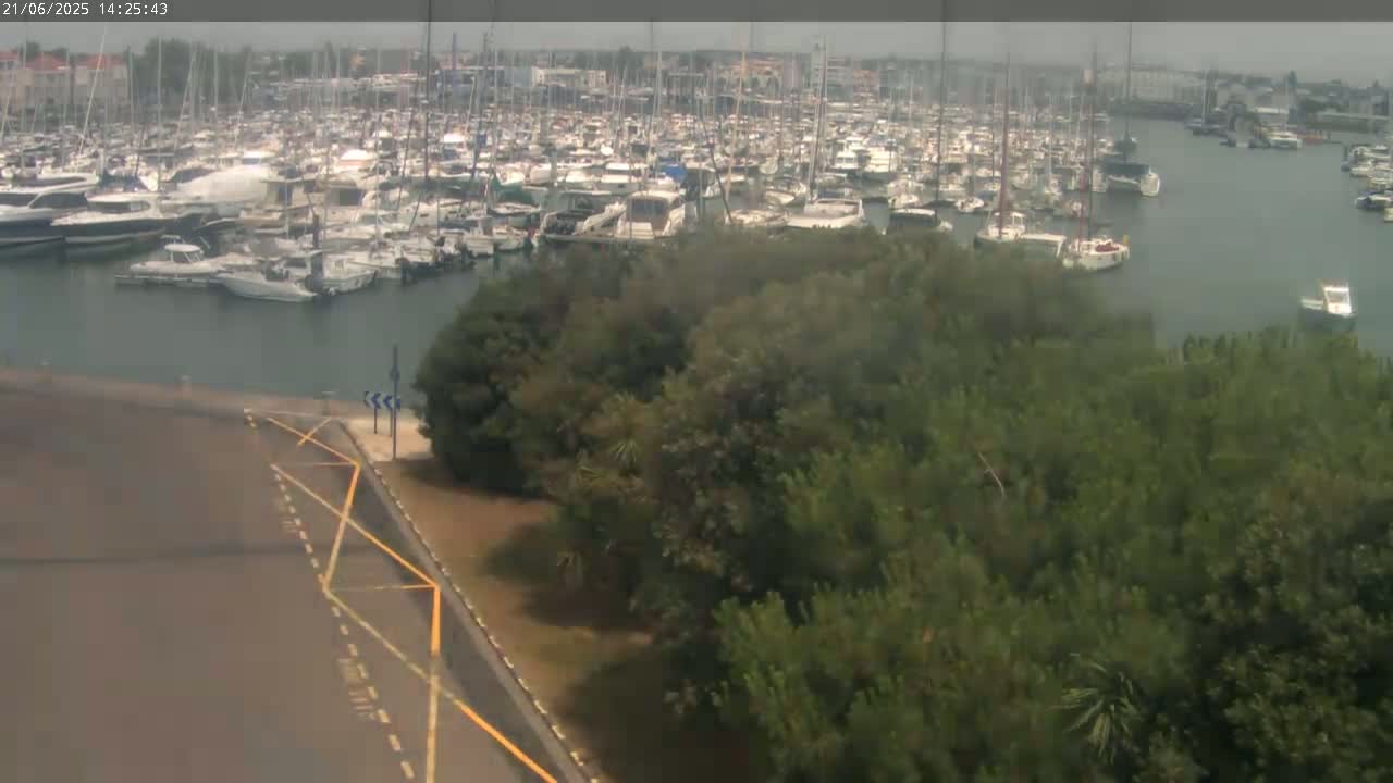 A large marina filled with numerous boats is visible from an elevated vantage point on an overcast day, with a patch of green vegetation separating the marina from a paved area.