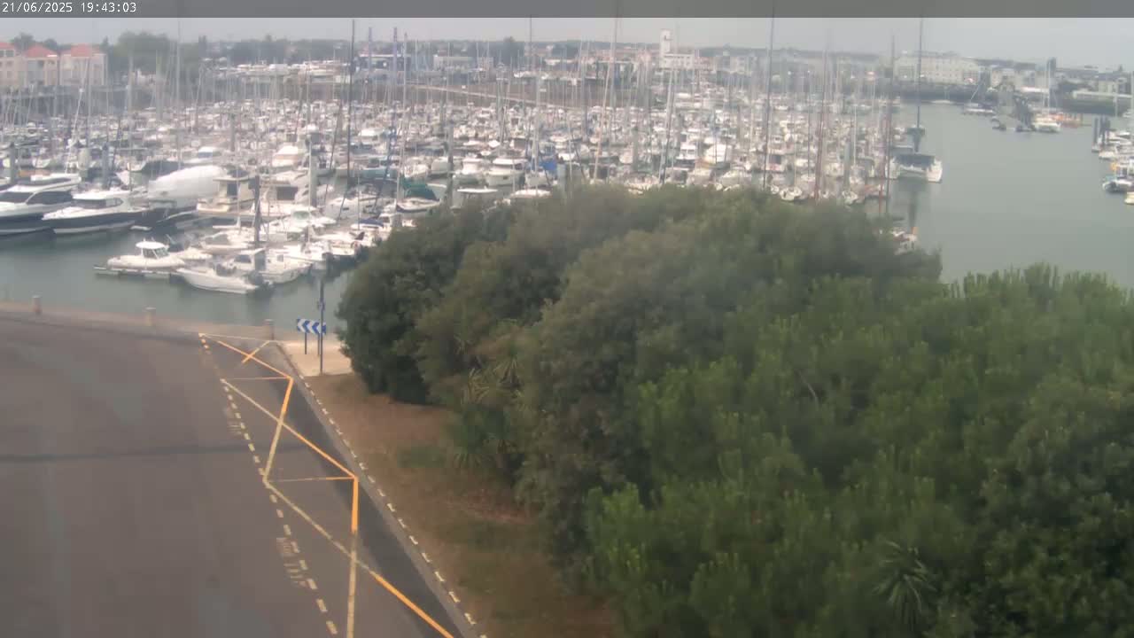 A marina filled with numerous boats is partially obscured by a stand of green trees under an overcast sky.