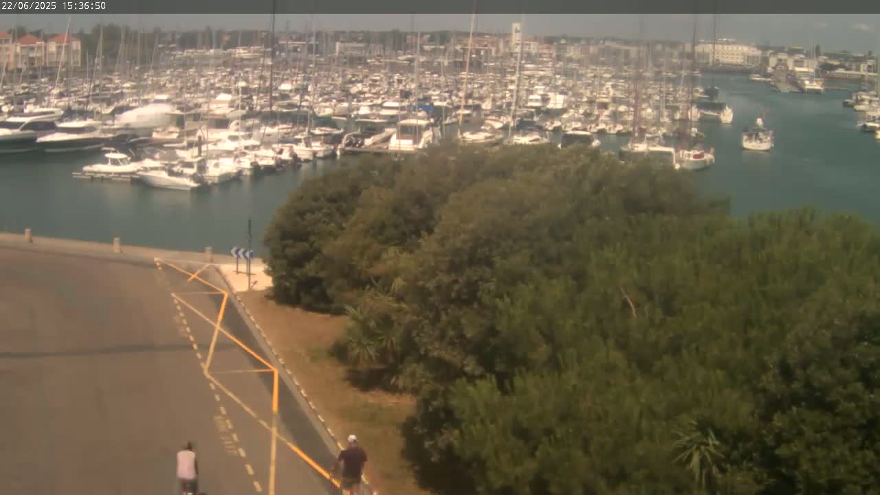 A large marina filled with many boats is visible from an elevated viewpoint overlooking a paved area where two people are walking; the weather is hazy and sunny.