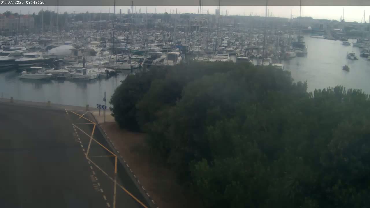 A harbor filled with numerous boats and yachts is viewed from above on an overcast day, with a dark green tree line in the foreground.