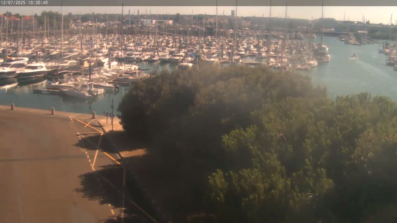 A large marina filled with many boats is viewed from above on a sunny day, with a stand of trees in the foreground.