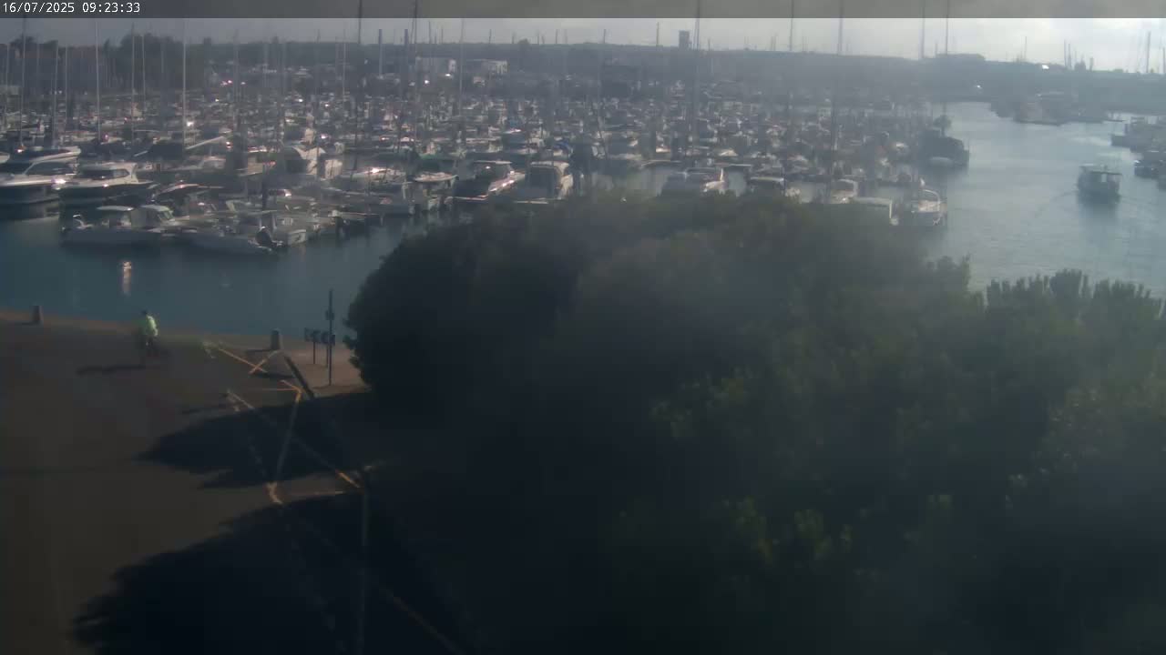 A person rides a bicycle near a marina filled with numerous boats on a hazy, sunny day.