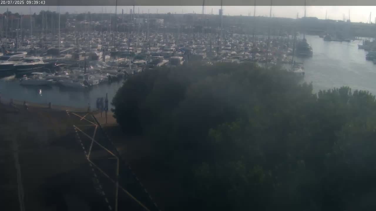 A large marina filled with numerous boats is visible from an elevated vantage point on an overcast day, partially obscured by a hazy foreground of trees and shrubs.