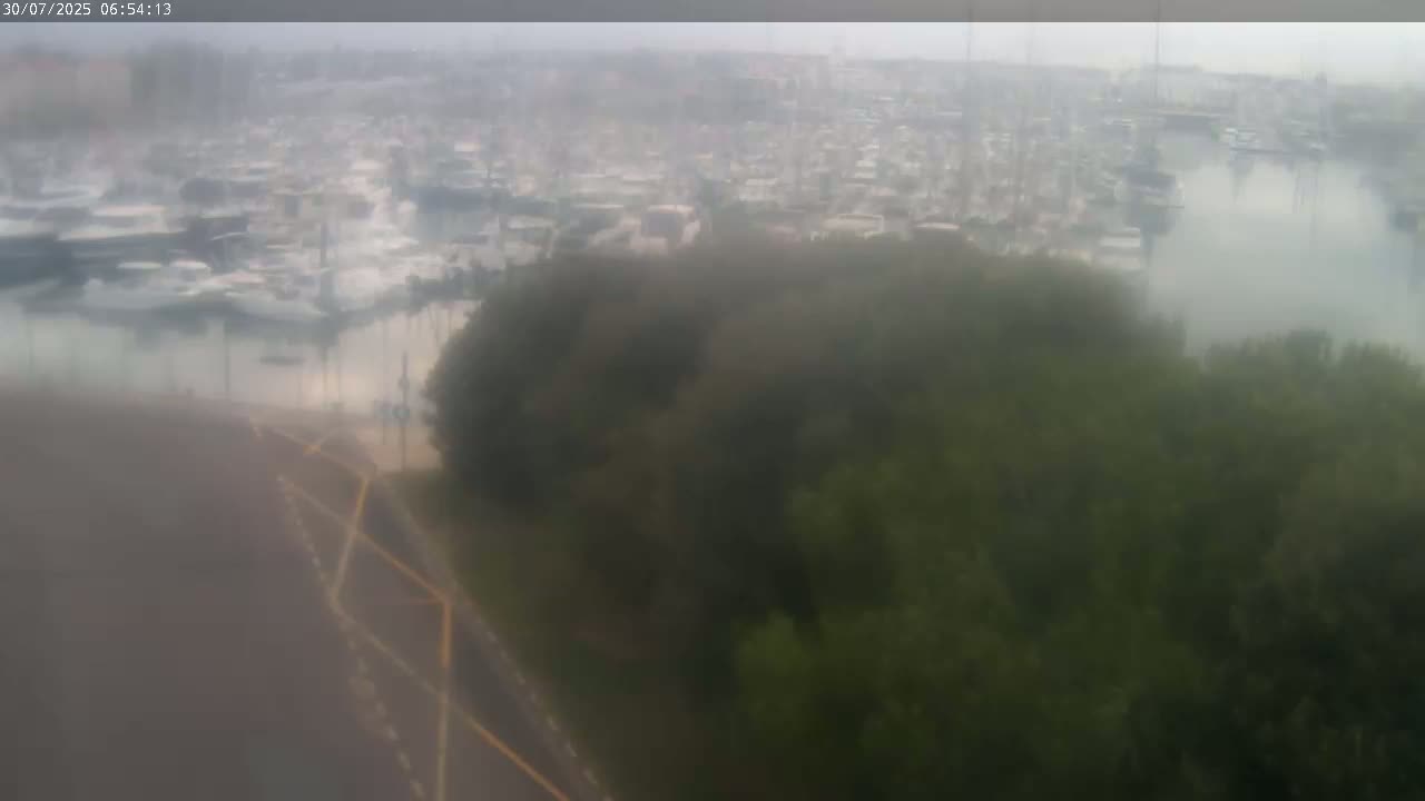 A large marina filled with numerous boats is visible from an elevated vantage point on an overcast day, partially obscured by a hazy foreground of trees and shrubs.