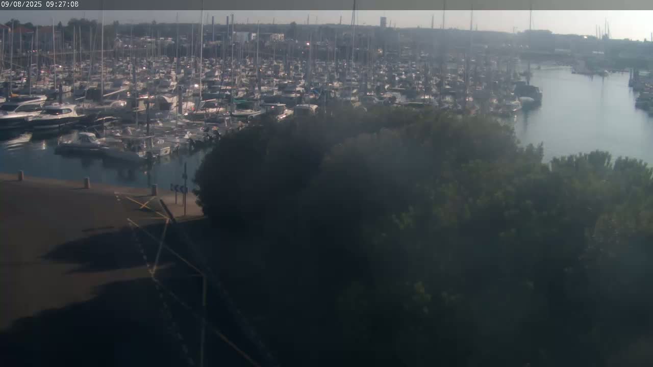 A hazy, sunny day reveals a densely packed marina filled with numerous boats and yachts, partially obscured by foreground vegetation.