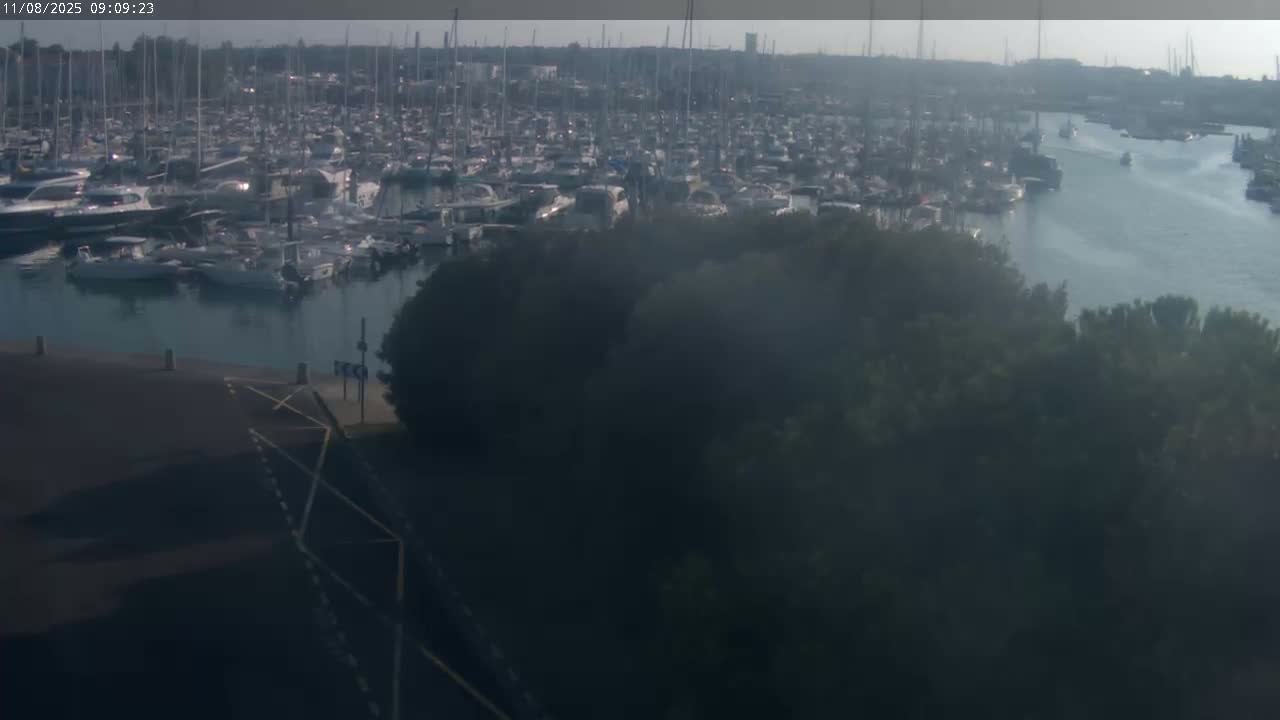 A hazy, sunny day reveals a marina filled with numerous boats and yachts, partially obscured by a foreground of dark green trees and a paved area.