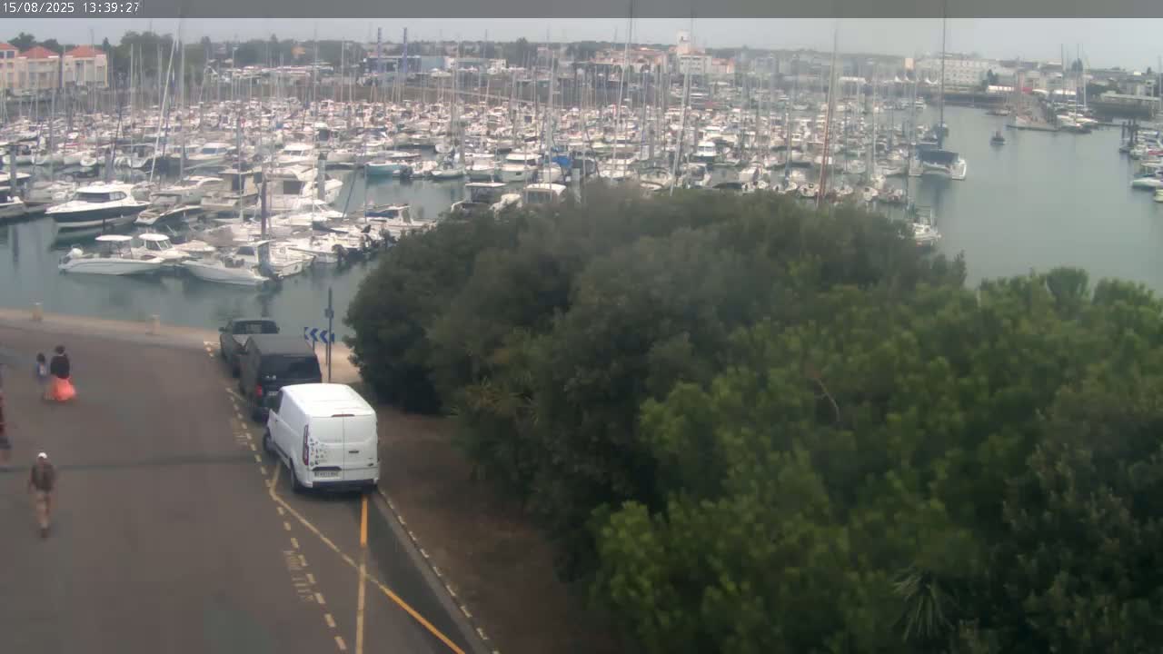 A hazy, sunny day reveals a marina filled with numerous boats and yachts, partially obscured by a foreground of dark green trees and a paved area.
