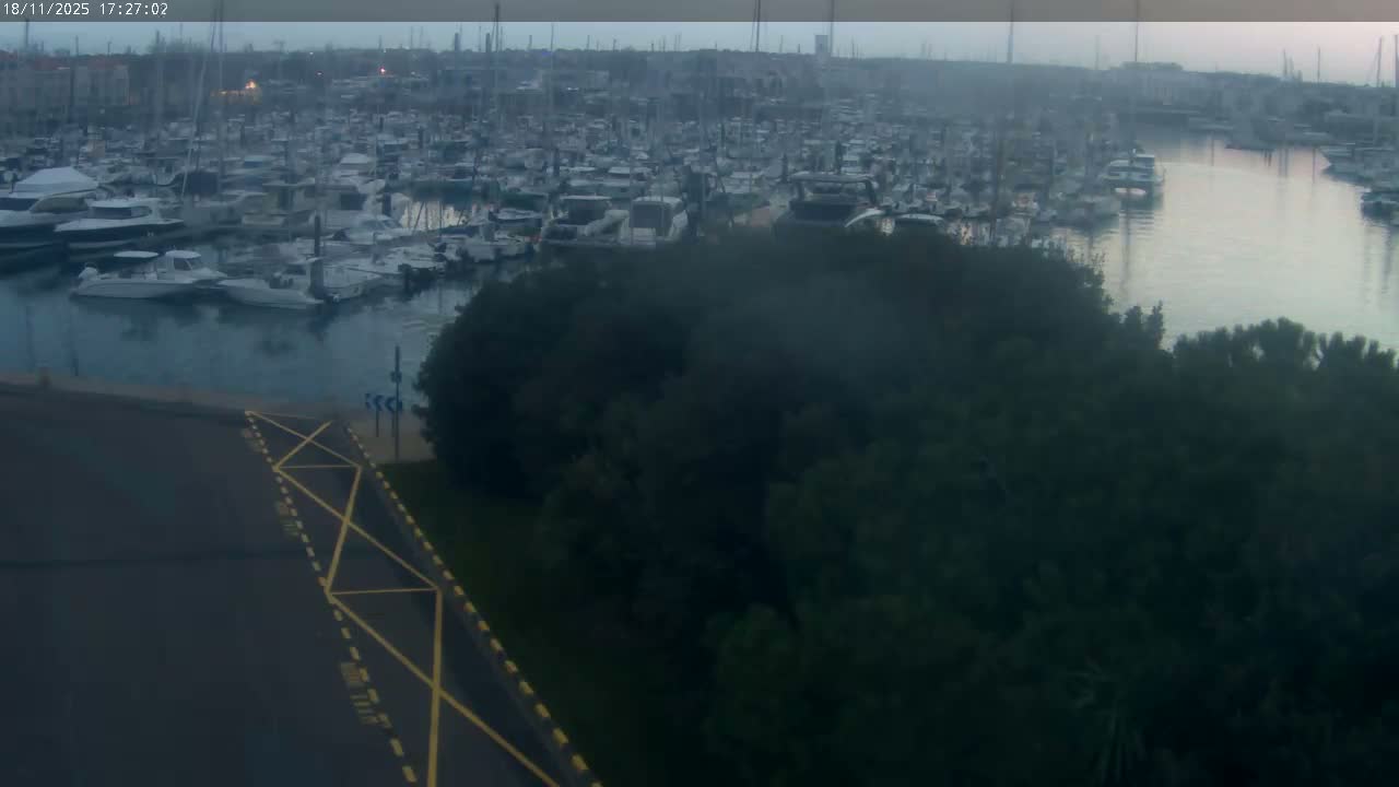 A hazy, sunny day reveals a marina filled with numerous boats and yachts, partially obscured by a foreground of dark green trees and a paved area.