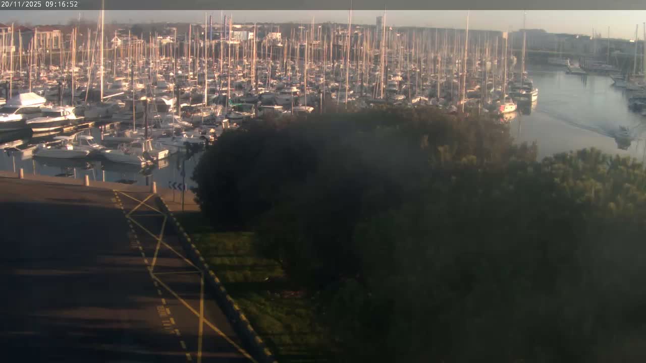 A sunny morning view overlooks a busy marina filled with numerous docked sailboats and yachts reflecting in calm waters, with a road and green bushes partially obscuring the foreground.