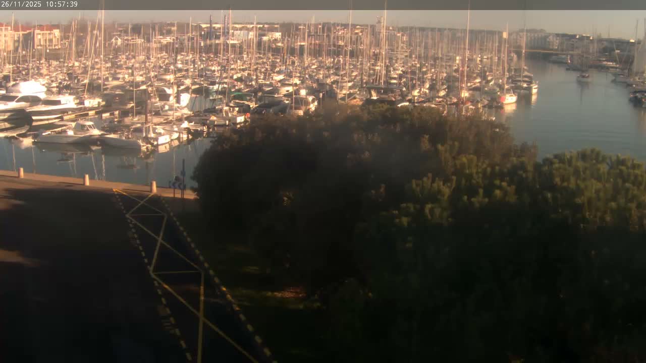 A clear and sunny day reveals a densely packed marina filled with numerous sailboats and yachts, flanked by distant buildings and foreground trees, with a marked road running along the waterfront.