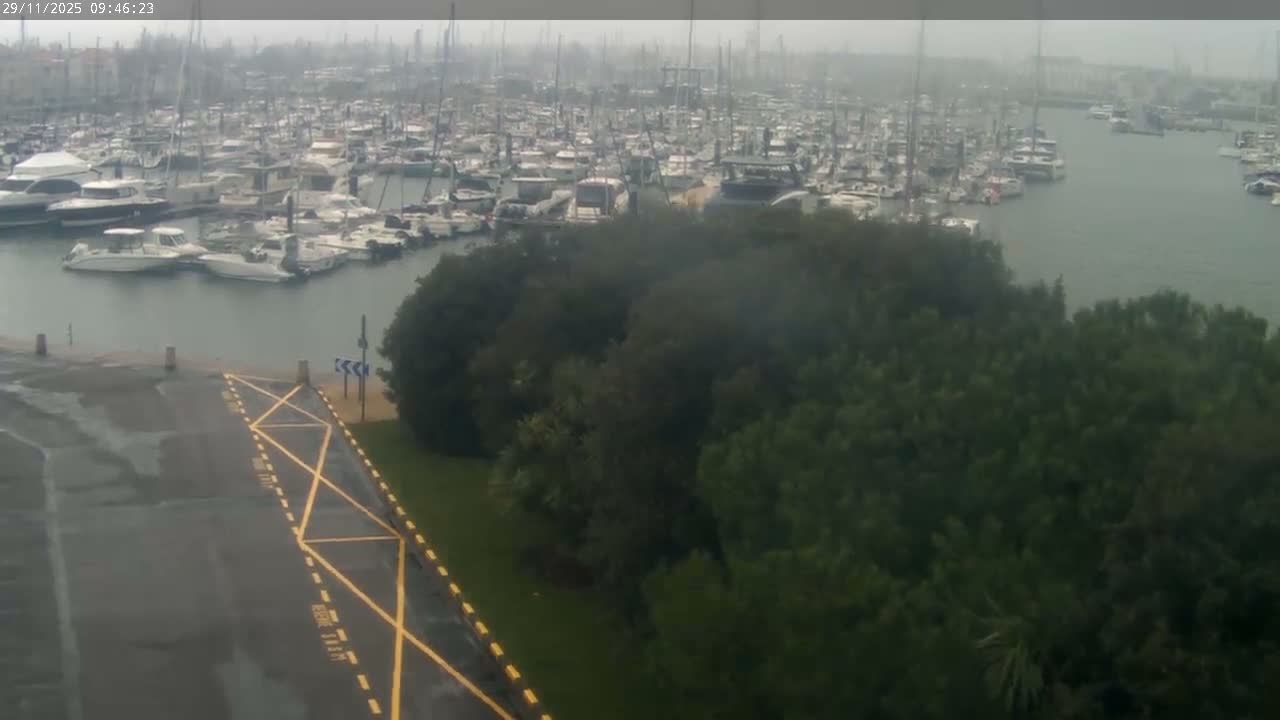 A densely packed marina under an overcast and hazy sky, with a wet road marked with yellow lines running alongside thick green trees.