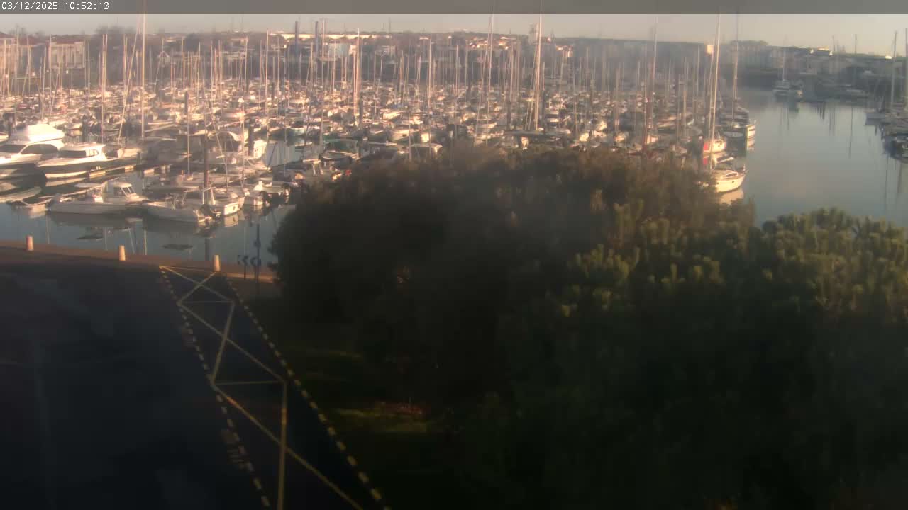 A bustling marina is densely packed with numerous boats docked in calm water, framed by dark green trees and a road in the foreground, all under a bright hazy sky.