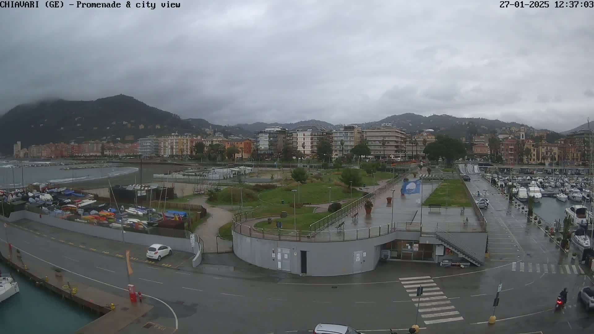 A wet, overcast day shows a coastal city scene with a harbor full of boats, a park, and buildings, all under a gray sky.