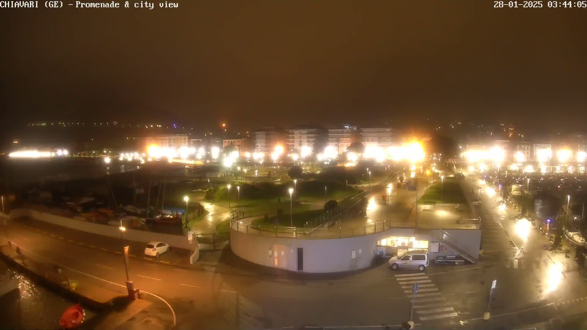 A rain-slicked nighttime view of a harborside promenade and city, illuminated by streetlights and building lights.