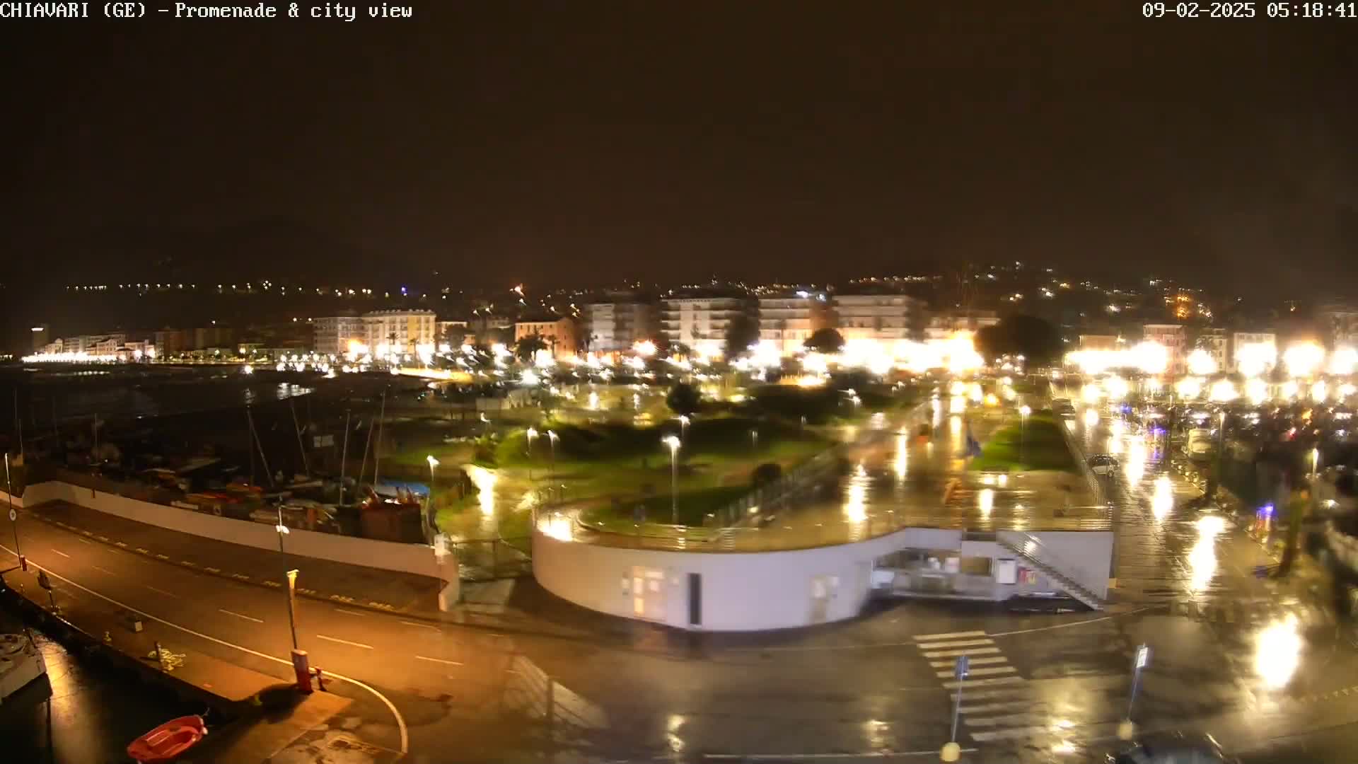 A nighttime, rainy view of a city waterfront with illuminated buildings, a park, and wet streets.