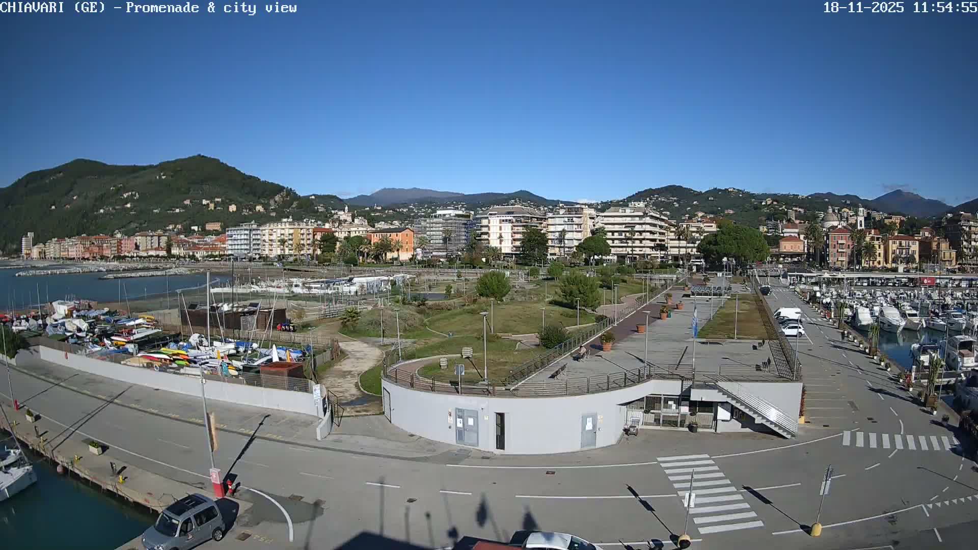 A sprawling coastal city with a busy marina full of boats, a green park, and numerous buildings ascending hillsides is viewed under a heavily overcast and gloomy sky.