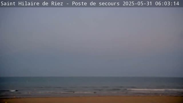 A calm ocean meets a sandy beach under an overcast sky.