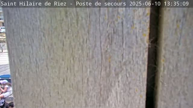 A close-up view of weathered, light gray wooden planks.