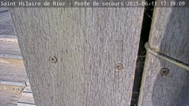 A close-up view shows weathered gray wooden planks with several screws visible, a wire is attached to the planks.