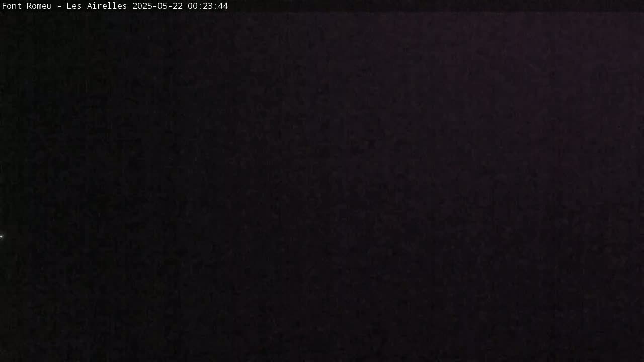 A dark, possibly nighttime image shows a uniformly textured, dark-colored surface.