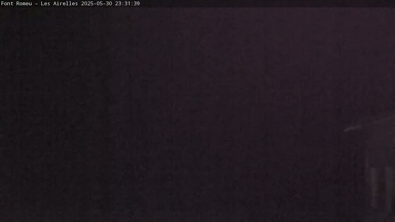 The image shows a dark, blurry view of an outdoor scene at night.
