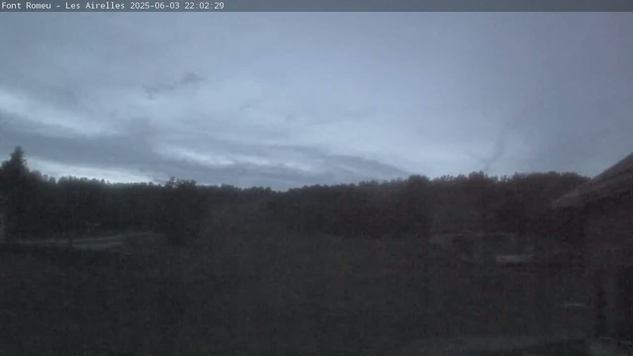 A dark, overcast sky hangs over a line of trees and a mostly-shadowed field.