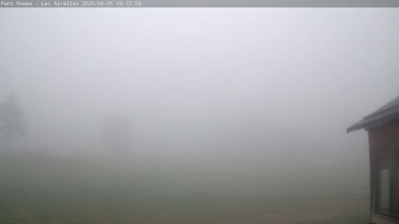 A thick fog obscures a grassy field and a partially visible building.