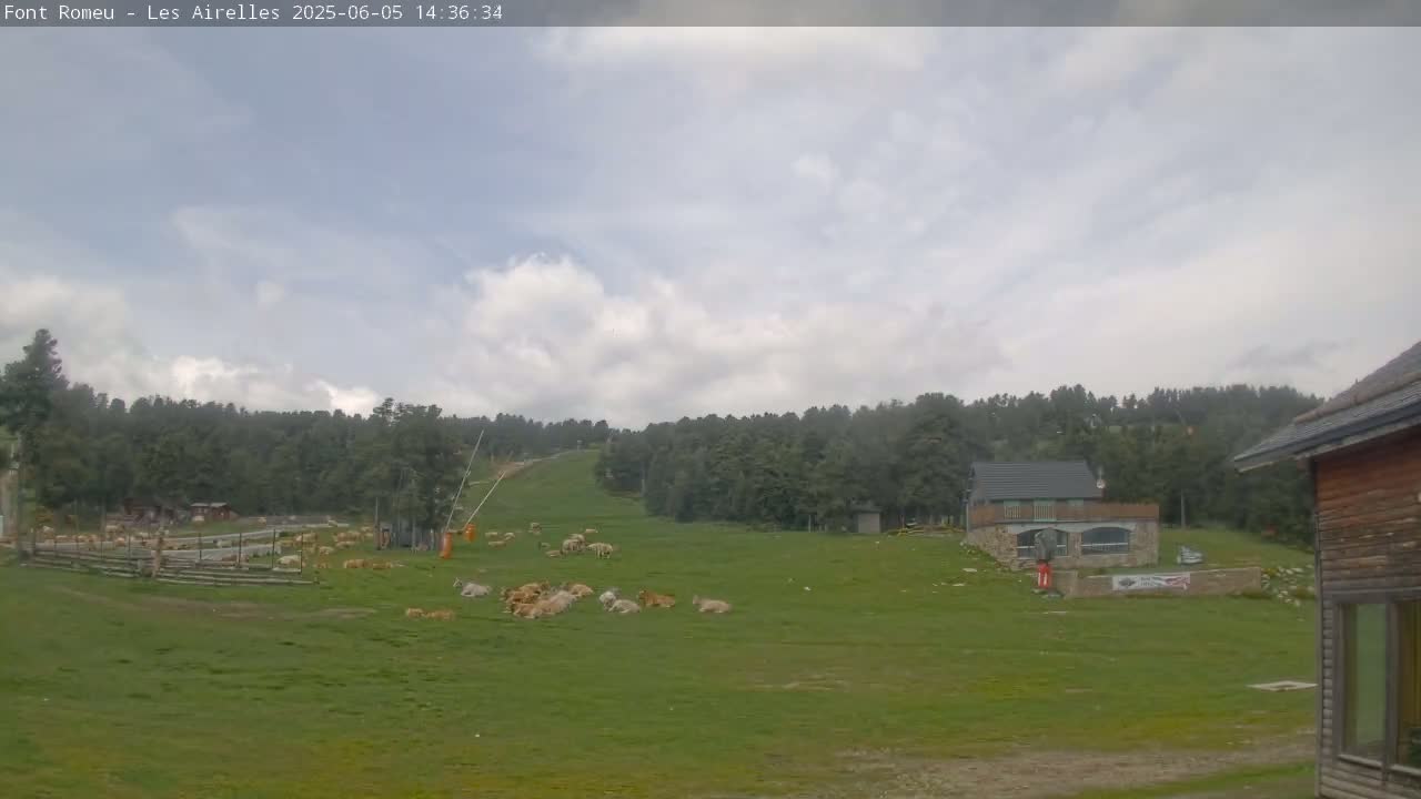 A herd of sheep rests on a grassy field, overlooked by a small building and a forested hillside under a partly cloudy sky.