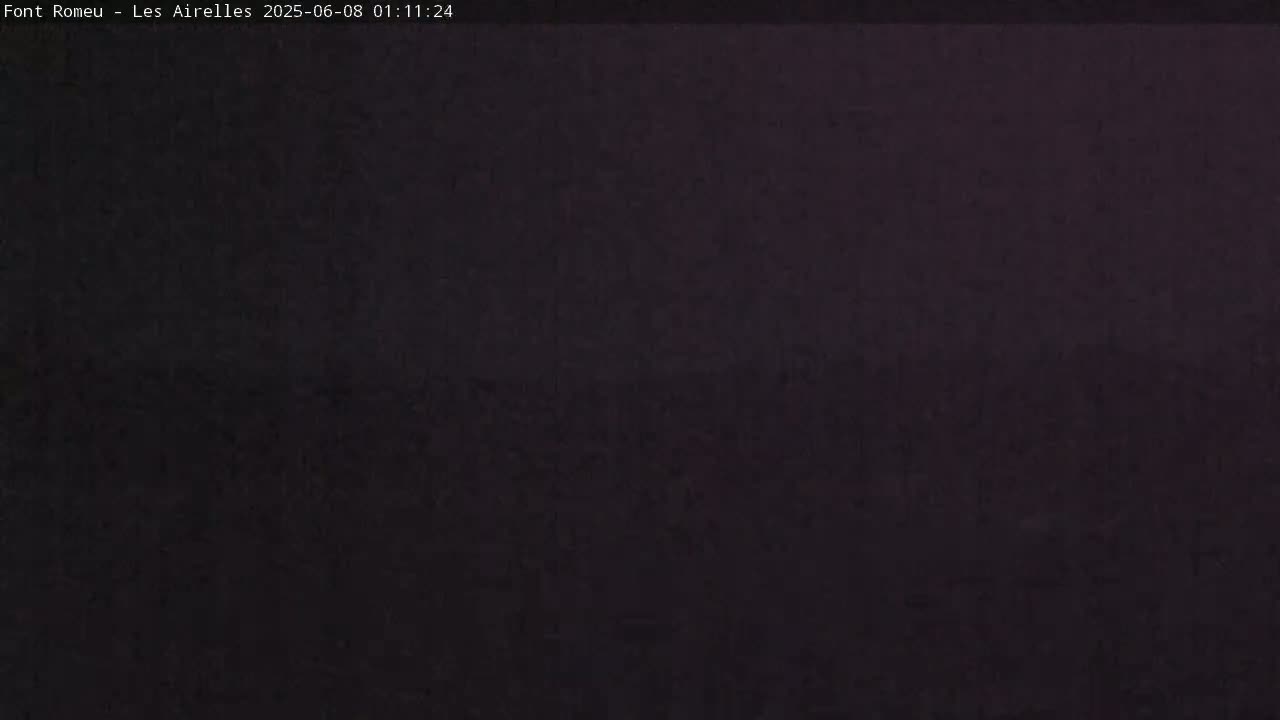 A dark, possibly nighttime, image shows a uniformly textured, dark gray-purple surface.