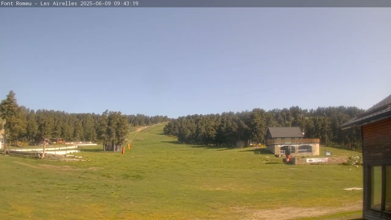 A grassy slope leads up to a line of evergreen trees under a clear blue sky, with a small building and some other structures visible in the foreground.